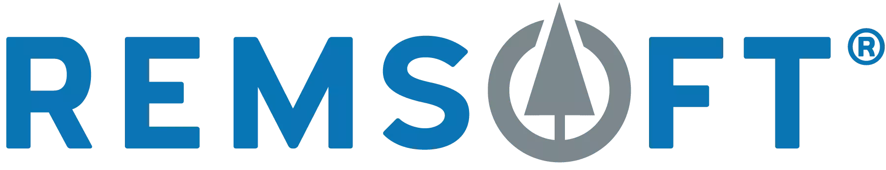 remsoft-logo-1.webp