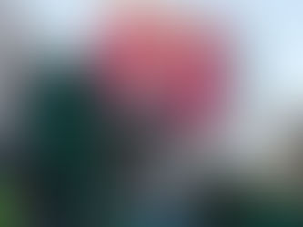 Nike: Winning Isn’t Comfortable, but It Connects