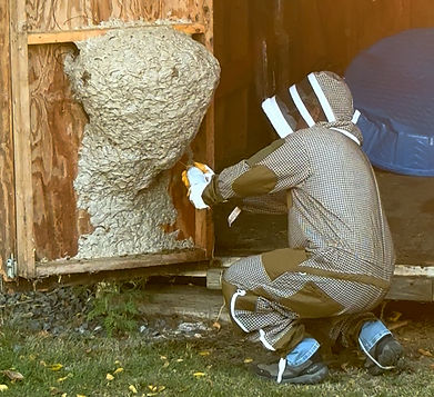 Pest Control Services, Penn Yan_edited.jpg