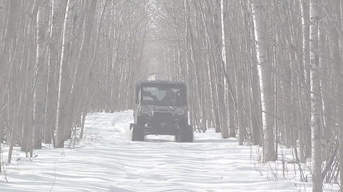 ranger backgrund transparent.jpg