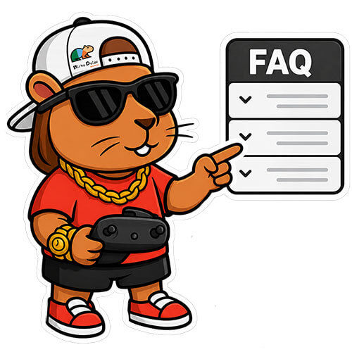 juninho bicho doido - FAQ