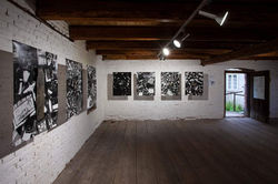 FB_IMG_1697952281066