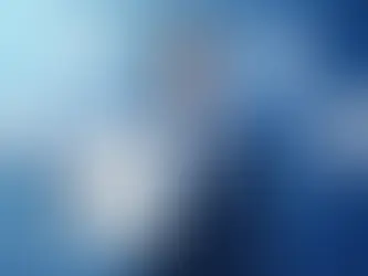 Il Manifesto del Product Owner. Marco Pellegrini