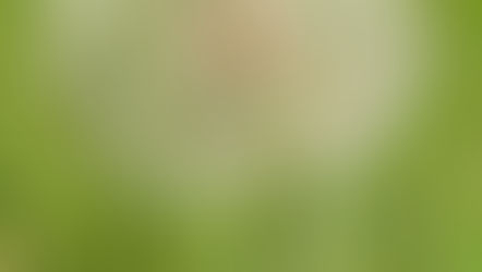 what I think it means to "do something" with your life