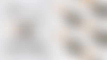 2023「SS最新カタログ」発行のお知らせ