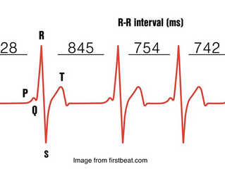 Heart Rate Variability - Part 2 (How to use it)