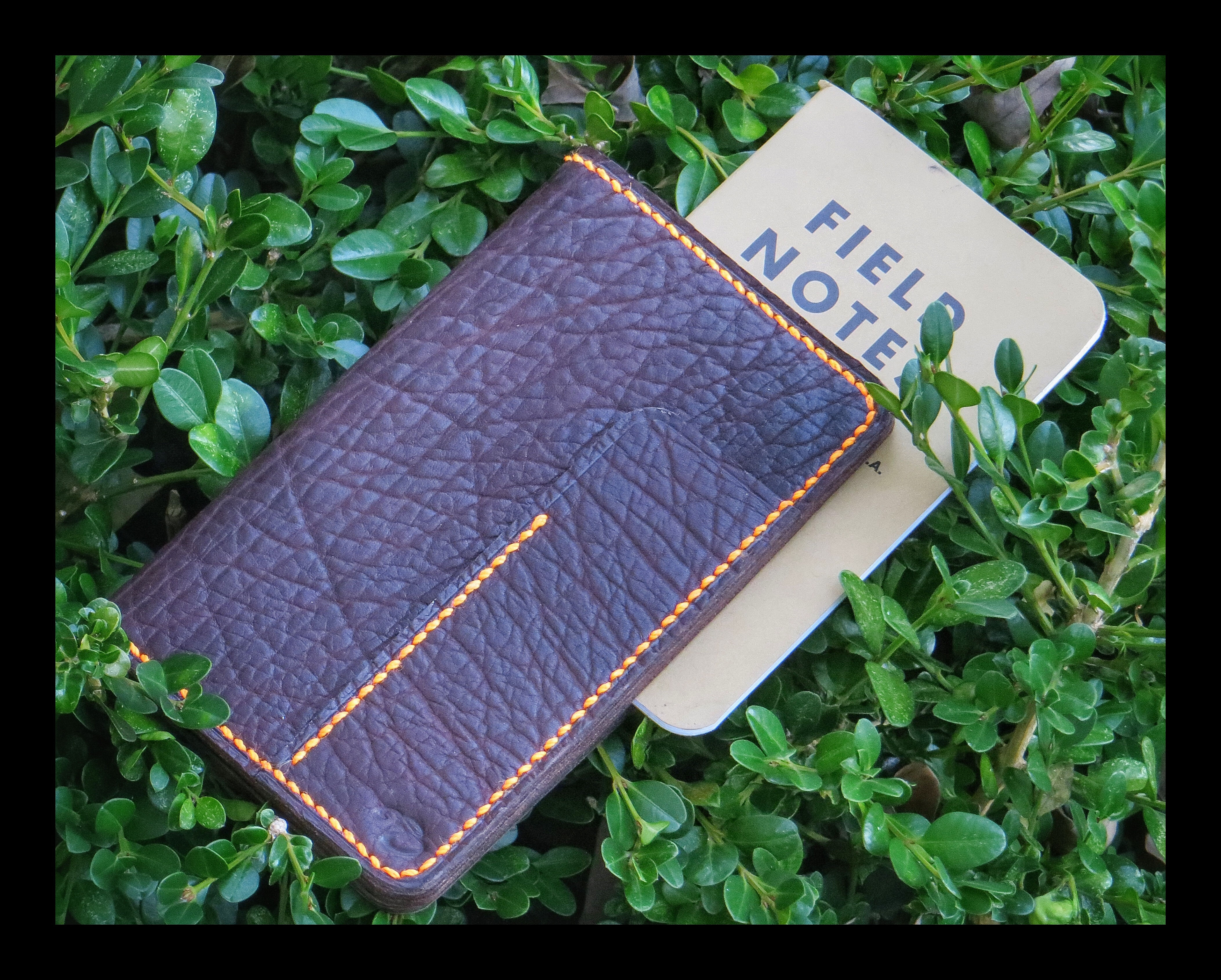 American Bison Fieldnote Wallet + 2 Fieldnote Booklets