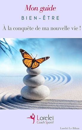 Copie de Pink Circle Cake Recipe eBook C