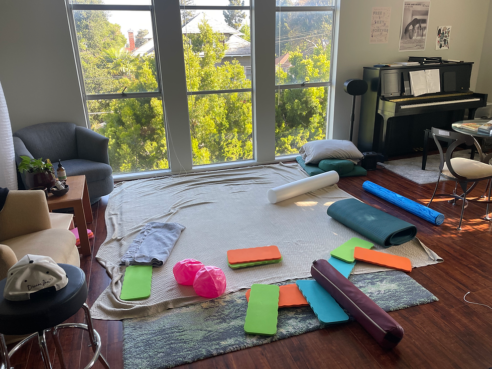 My Feldenkrais lab requires many little props =)