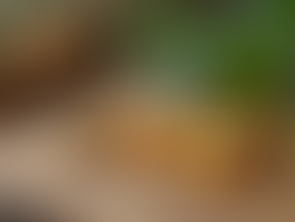 PCOS Management: Insights from Herbal Harmony's Journey