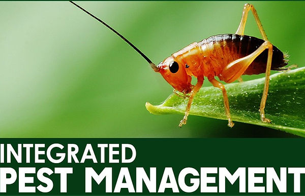 Integrated Pest Management