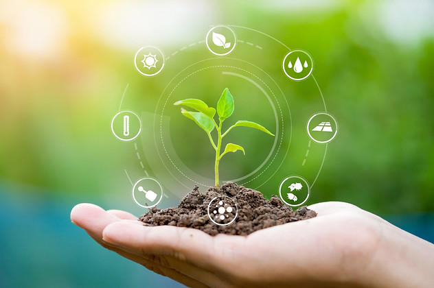 Background New Pack Agro Dubai