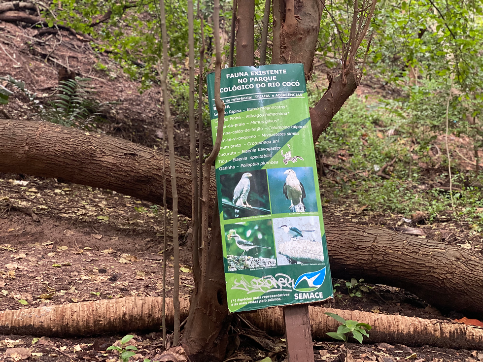 Onde está o poder público para proteger a fauna cearense?