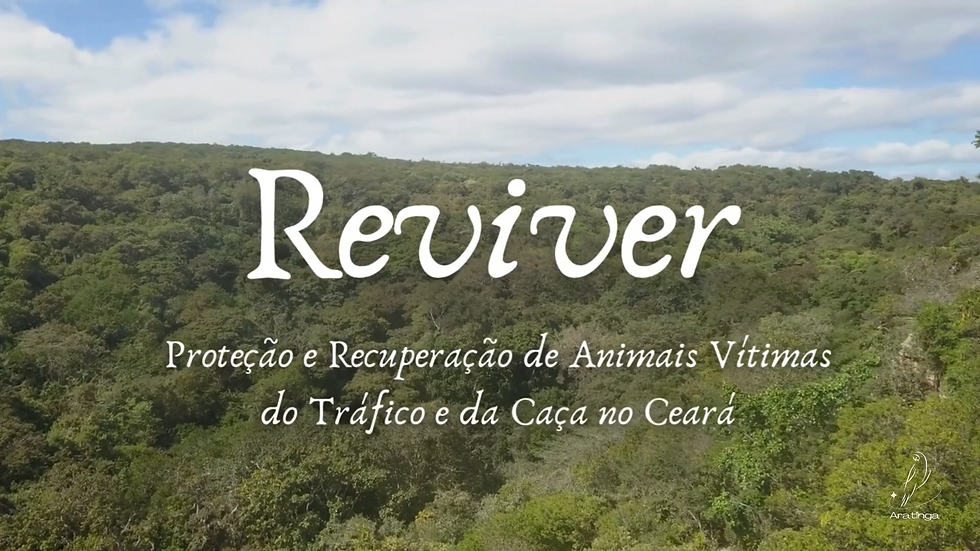Reviver: proteção e recuperação de animais vítimas da caça e do tráfico no Ceará