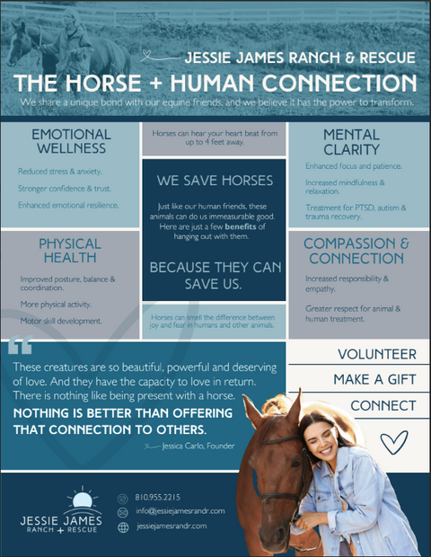 Horse Rescue Infographic
