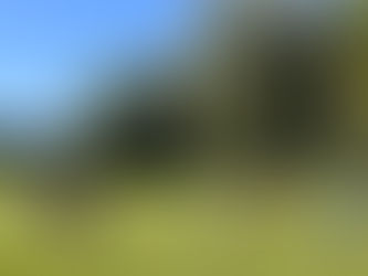 Saisonstart der Jugendmannschaften