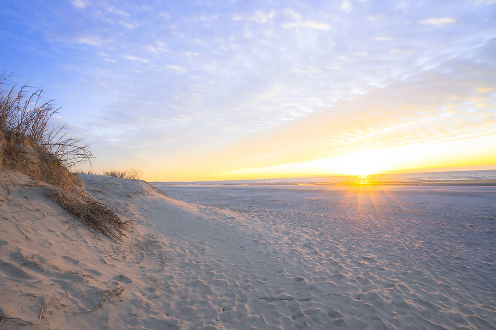 sc beach.jpg