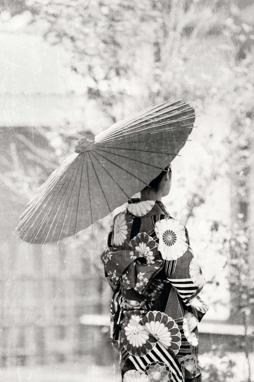 Geisha_CMYK_iso_coated_v2_eci_300dpi_edited.jpg