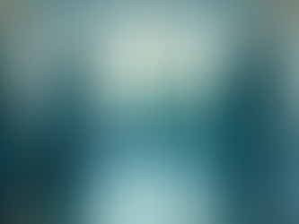 Top Clinical Nurse Leader Programs in the Carolinas