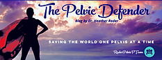 The Pelvic Defender Logo.png