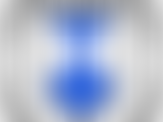 Baustopp in der Gartenanlage – Was nun gilt und warum