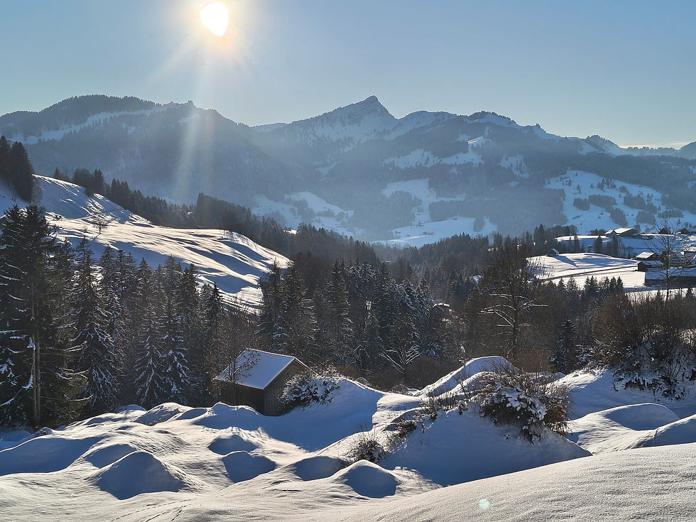 IMG_20260107_152828778_HDR