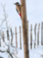 IMG_20260218_081510344~2