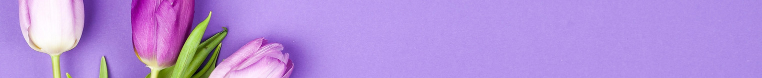 576690-PLSJ4U-564_edited.jpg