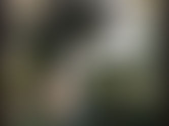 Winners è il nuovo singolo dei Young Gun Silver Fox