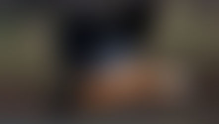 NHỮNG CÁNH CHIM VEN BIỂN 