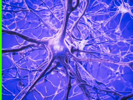 Unlocking Your Brain's Potential: Neuroplasticity Strategies