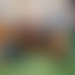 BMP's 2025 Paper Orchestra Building