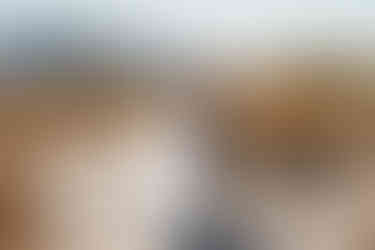 bride and groom portaits, bride and groom posing ideas, desert arizona wedding