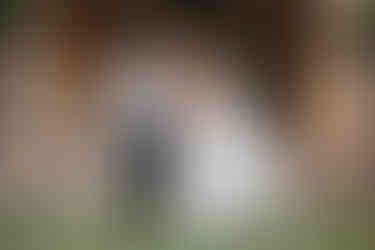 bride and groom Crowne Plaza San Marcos Golf Resort, arizona wedding photographer