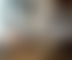 SAKURAI JAPANESE TEA EXPERIENCE