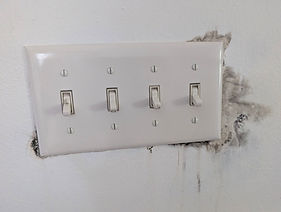 Mold peaking out from behind the switch plate, indicating dangerous molds are behind the w