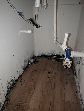 Toxic Mold located in an HVAC Closet in Lafayette