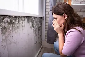 When-should-you-get-a-mold-inspection-when-buying-a-home.jpeg.webp