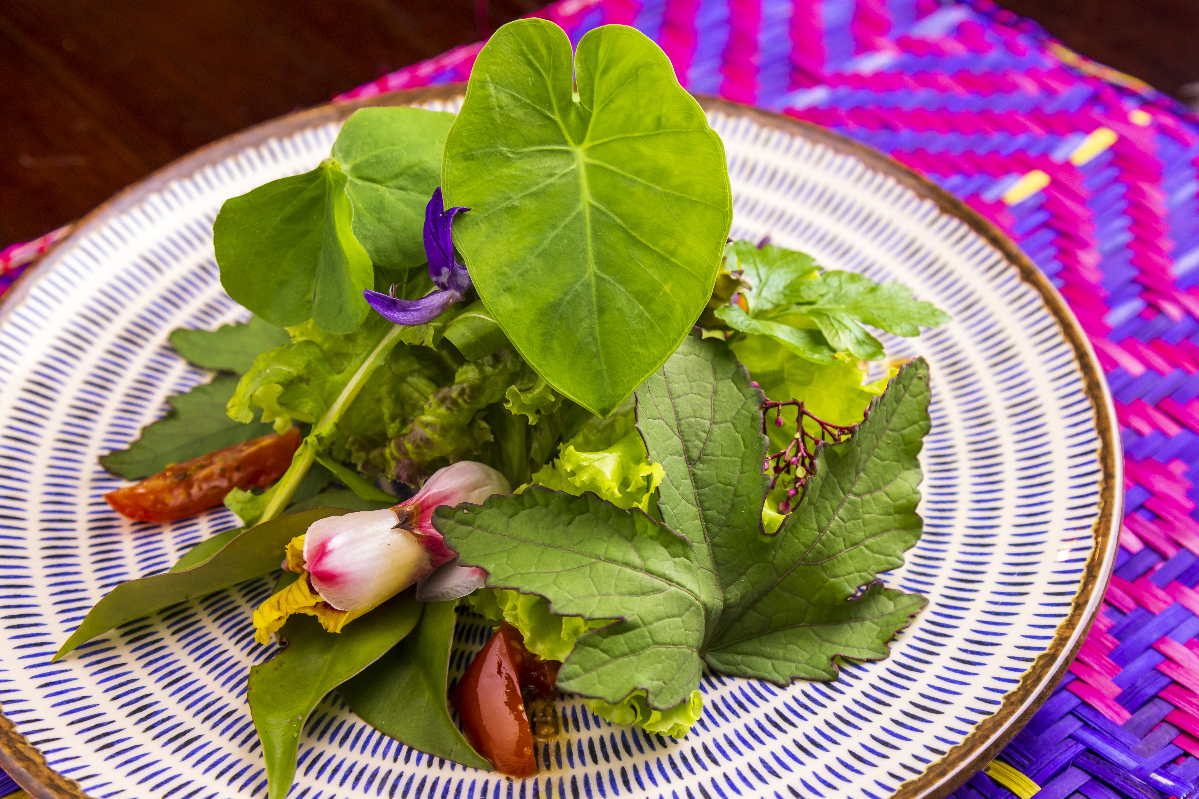 Salada Pancs