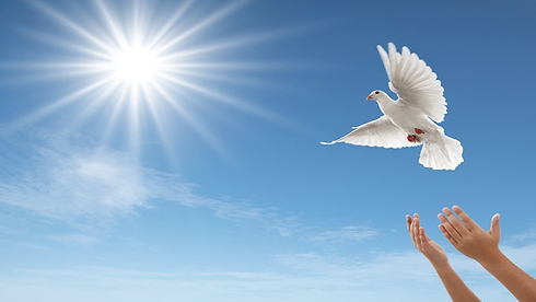doverel 1920x1080.png