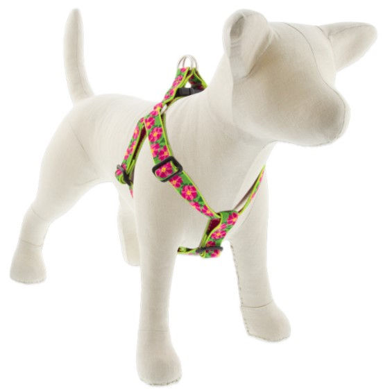 Thumbnail: Lupine Step In Harness