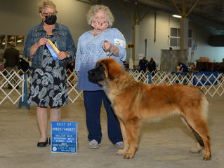 New CHampion Griselda conquered the Bayou state of Louisiana - fun was had by all!!!