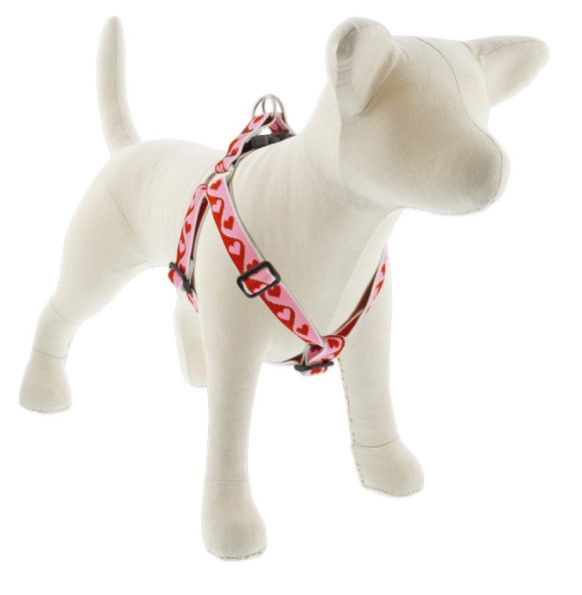 Thumbnail: Lupine Step In Holiday Harness