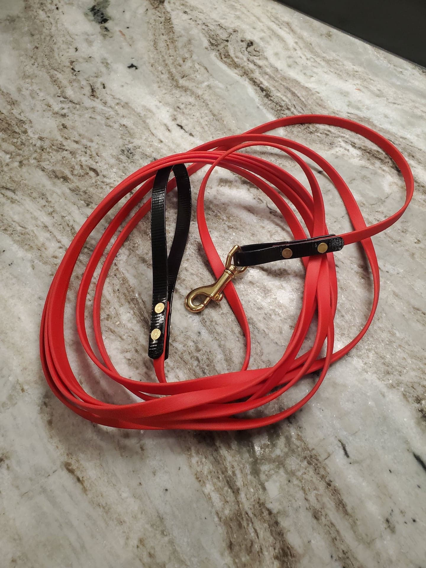 Biothane Leashes and Collars