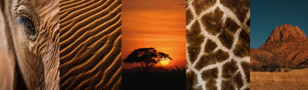 Inspirations of Africa