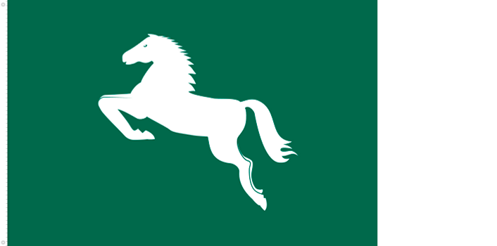 Bandera de Sharqia (Gob. Oriental)