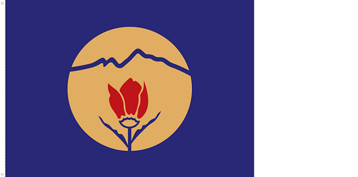 Bandera de Kukës