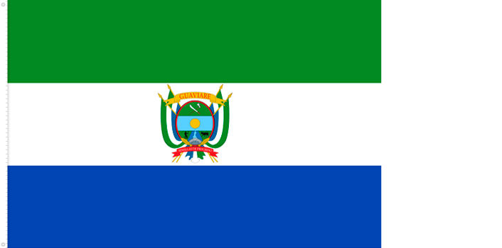 Bandera de Guaviare