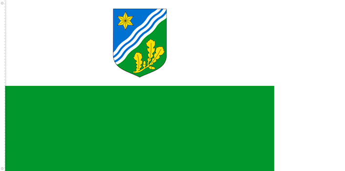 Bandera de Tartu