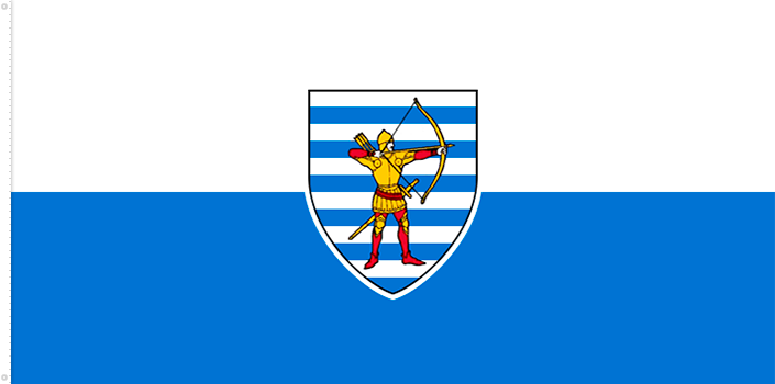 Bandera de la ciudad de Bălți